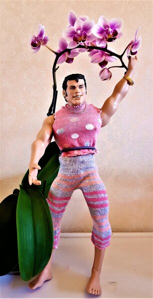 Tom in Pink - Homage to all females ( dolls & humans ).jpg