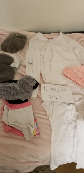 Aside from what doll is wearing in photos, included: 5 panties, 1 black bra, 2 blouses(one white, one pink), one shirt(white), and 2 extra unused wigs.