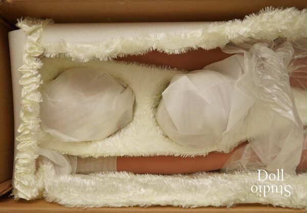 unboxing-wm-doll-wm-161-packaging-6400-dollstudio.jpg