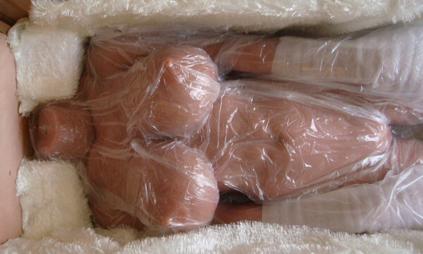 08 Torso in Box.JPG