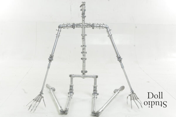 xycolo-skeleton-3723.jpg