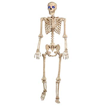 doll skeleton pose n stay.jpg