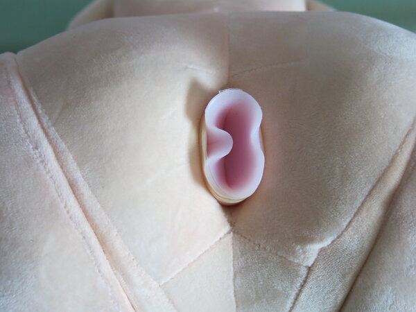 Anal insert in place